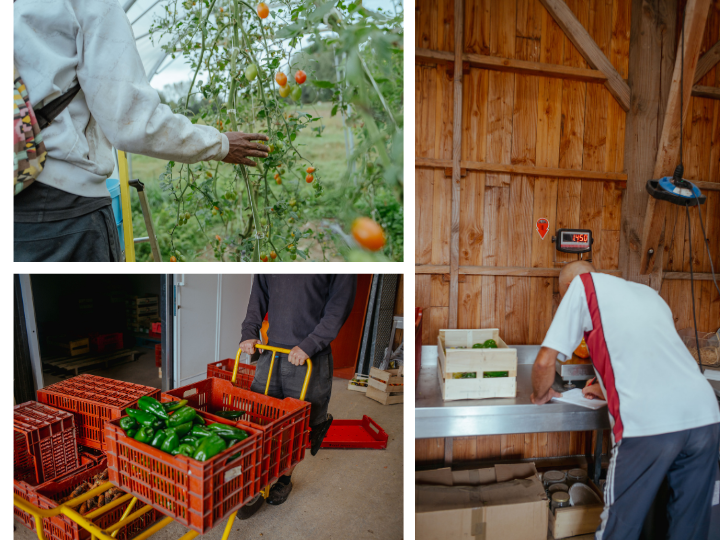 https://backend.streetpress.com/sites/default/files/montage_travail_a_la_ferme.png