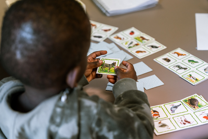 https://backend.streetpress.com/sites/default/files/un_enfant_joue_avec_des_images_danimaux_pendant_les_cours_de_francais_copie.jpg
